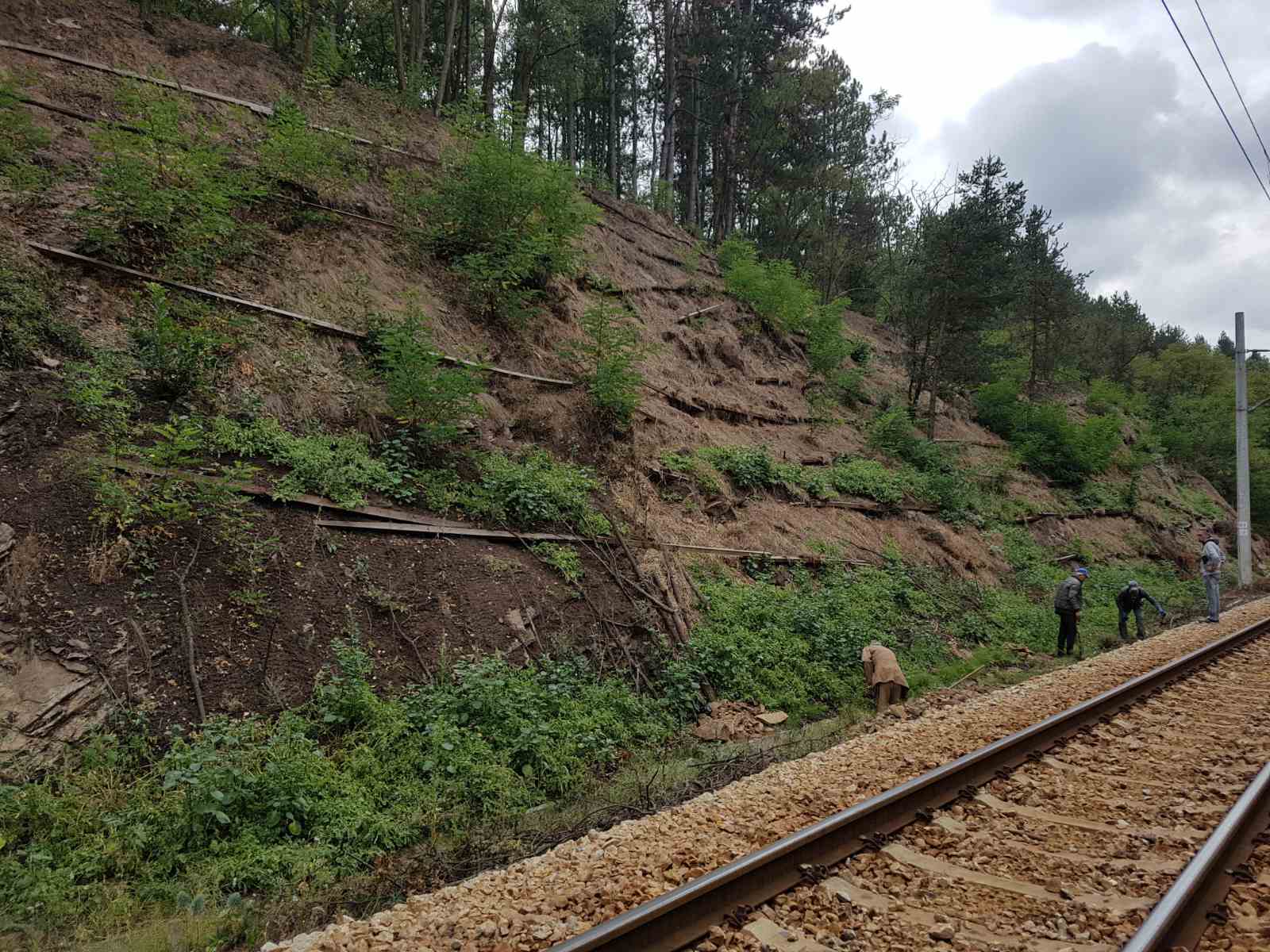 CW-02 after, revegetated slope