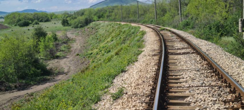 CW-03 after, vegetated railway embankment