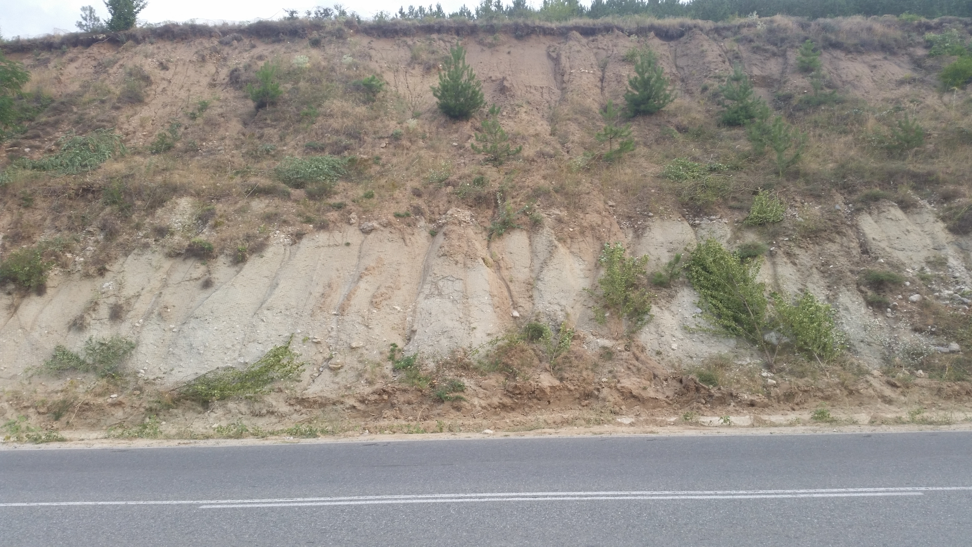 CW-01 before, eroded embankment